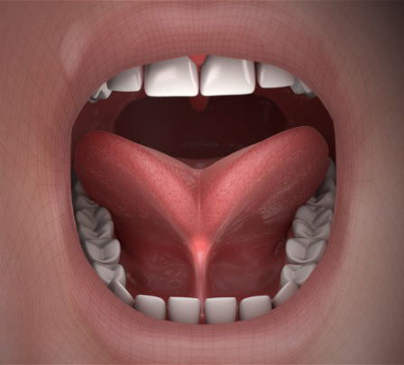 Tongue Ties & TMD | | TMJ, Tongue Tie & Sleep Institute – Tongue Tie Treatment in Mumbai, India | |